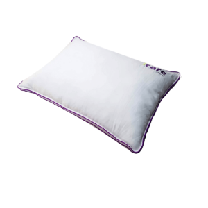 iCare Cloud ActiveX Pillow