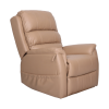 Aspire OREGON Lift Recline Chair