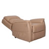 Aspire IDAHO Lift Recline Chair - Dual Action