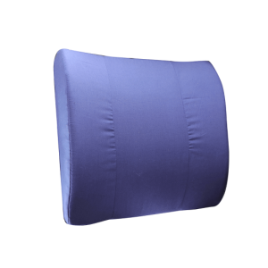 Aspire Foam Back Support Cushion