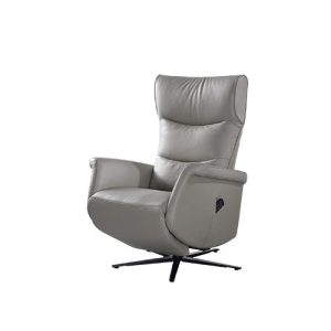 Mio Swivello Rise Recline Chair