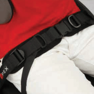 Spex Padded Hip Belt